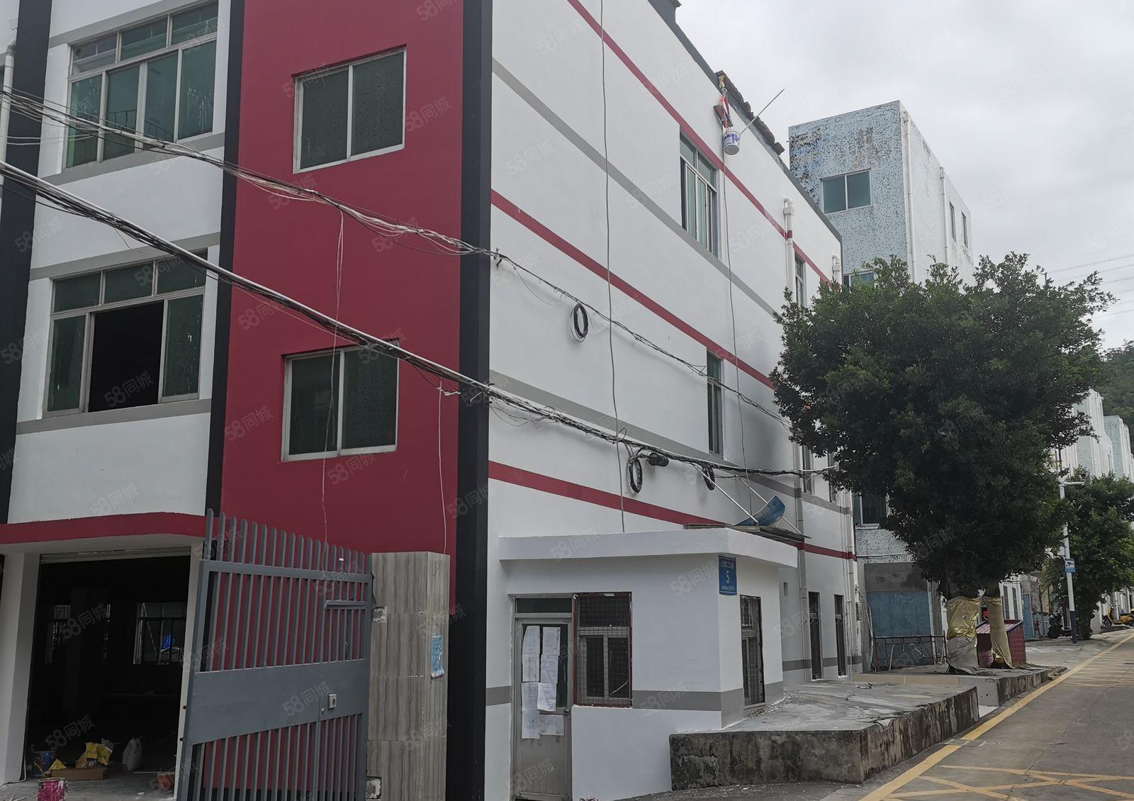 大鹏新区土洋第二工业区独院厂房出租3680平米，全新装修，