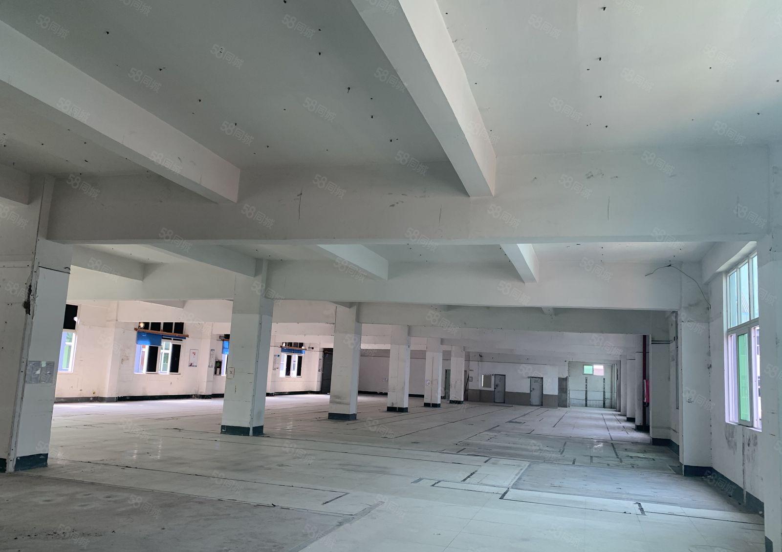 龙岗区龙东业主直租，独门独院7500平，价格可谈