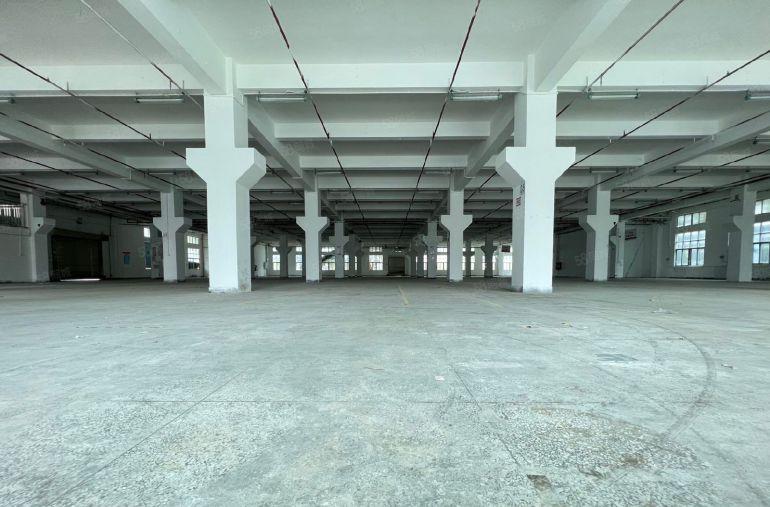 龙岗布吉杨美地铁口原房东5000平厂房仓库出租，300平起租