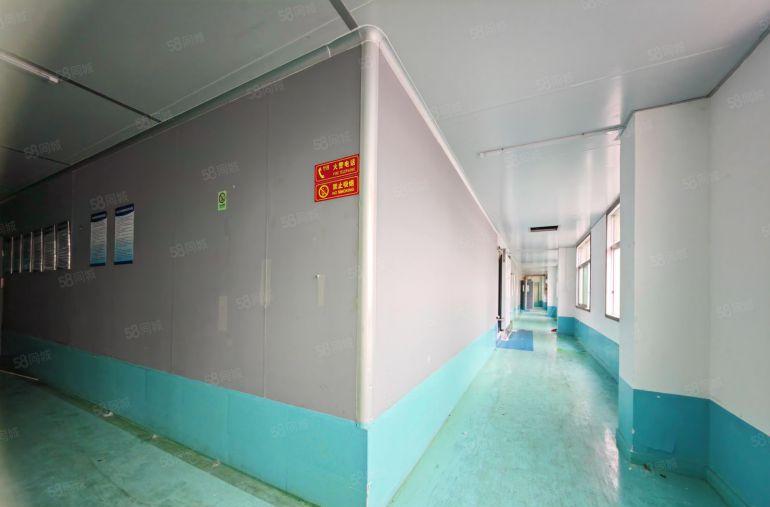 龙岗同乐地铁口新出独门独院楼上洁净车间1500平精装厂房出租