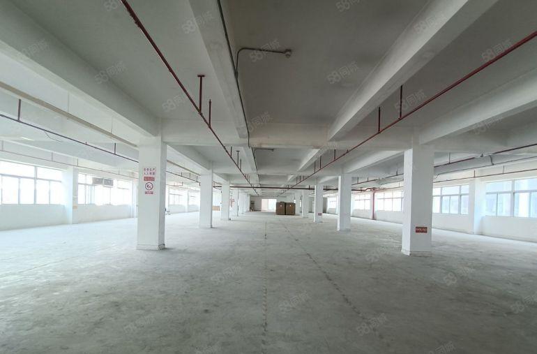 坂田地铁口厂房出租仓库出租1000平