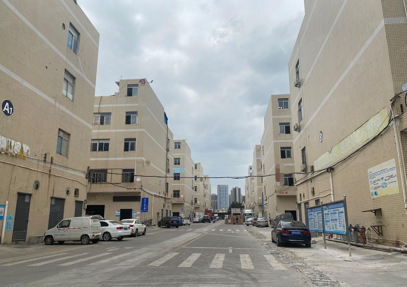 爱联嶂背新出原房东标准厂房二楼1000平方厂房出租带精装修