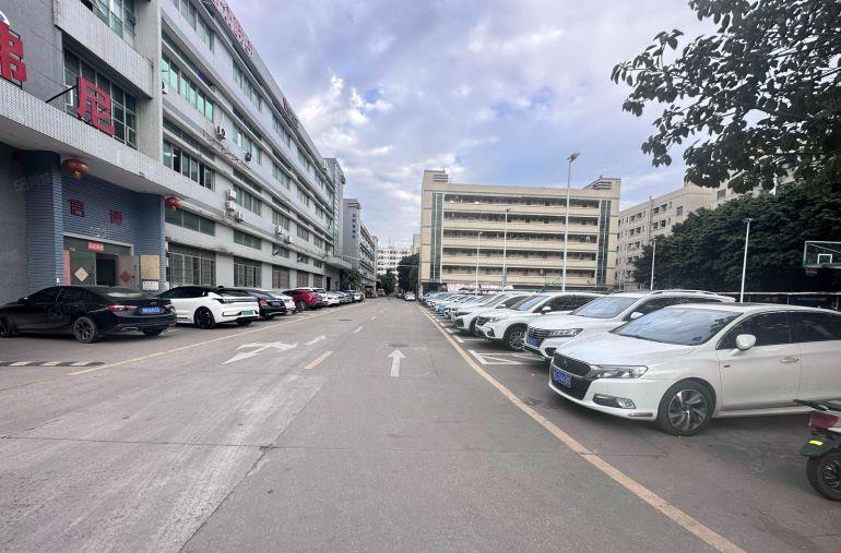 坂田红本补贴厂房出租300平起一楼精装修电商办公仓库