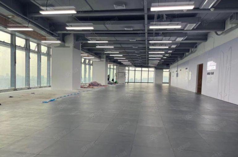 免租期起开发商直租 星河双子塔  企业总部选址 补贴