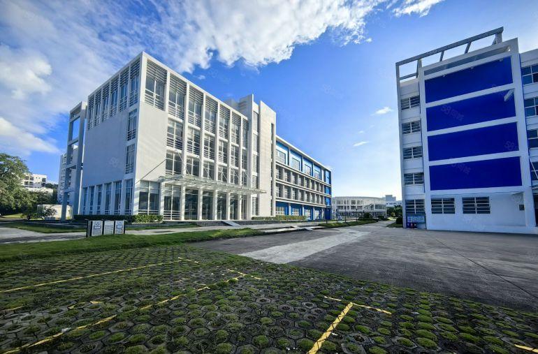 坪地高桥工业园原房东2楼1200平方精装修办公室厂房仓库出租