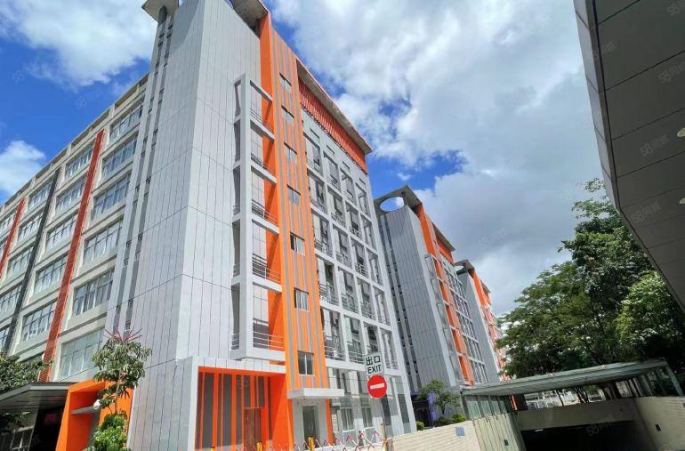 实际面积出租龙岗新生科技园新出1000平精装办公仓库厂房出租