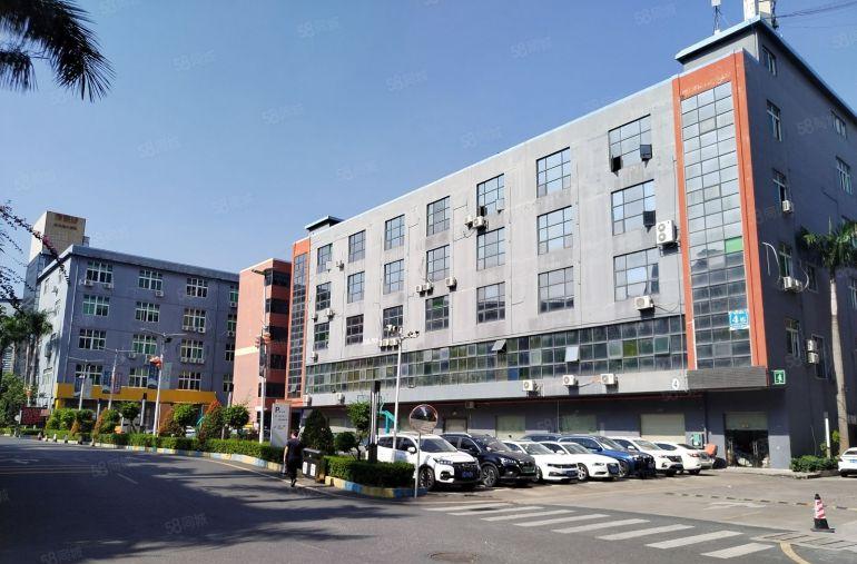 送家私带红本龙岗中心城电商园新出300平精装办公仓库厂房出租