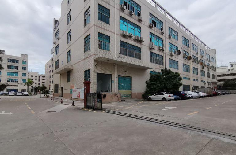 大小面积办公室仓库出租平湖华南城地铁口1000平厂房招租