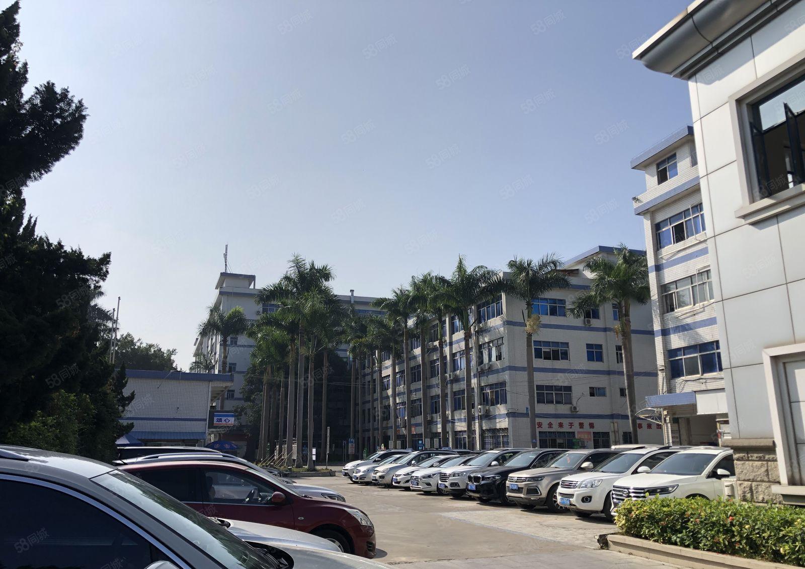 南联科技园新出一楼600平方带红本喷淋厂房出租，可分租