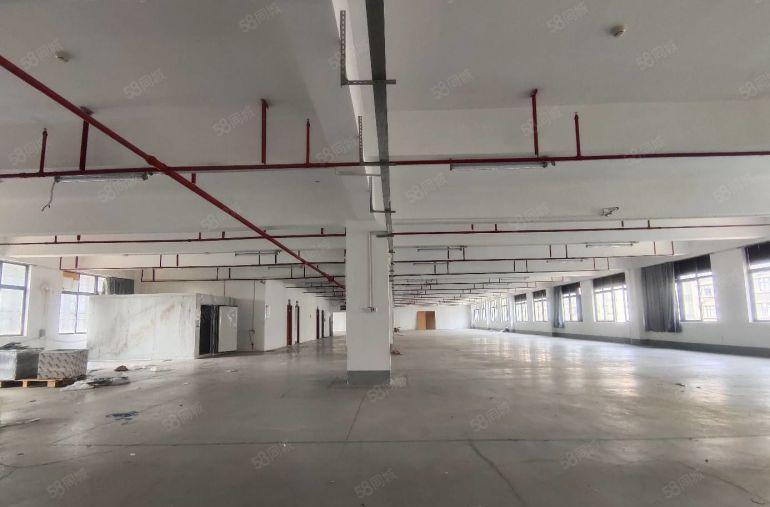 （出租）布吉主干道2000平楼上厂房，带现成装修跟生产车间。