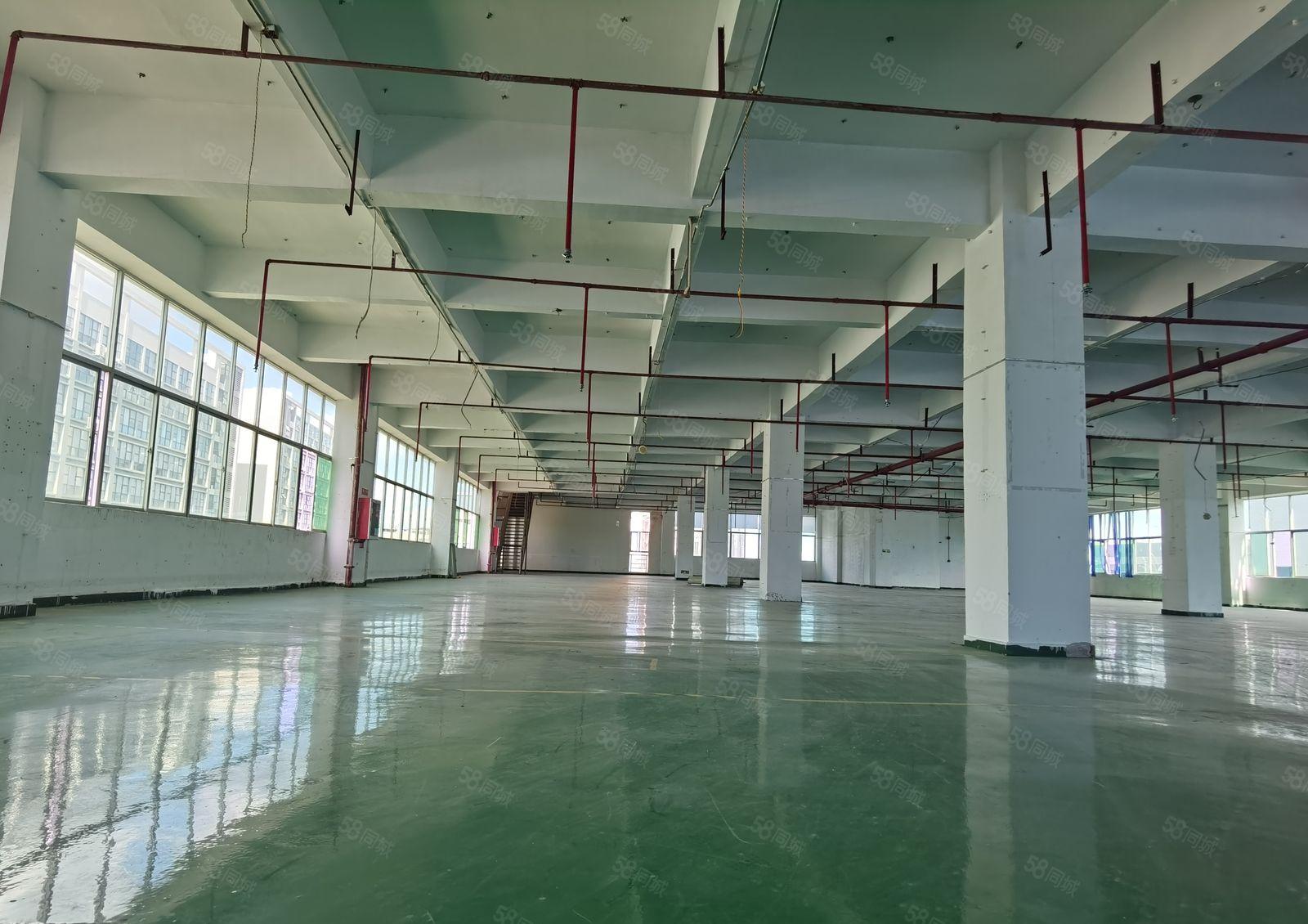 业主直租！龙岗五联大型工业区单层面积1882平厂房仓库出租