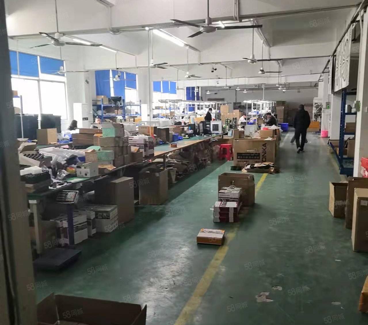 坂田环城路工业厂房5楼1350平方带装修，无转让费