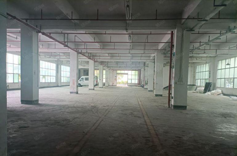 龙岗坪地中心村一楼独门独院1300平带2000平的独立院子