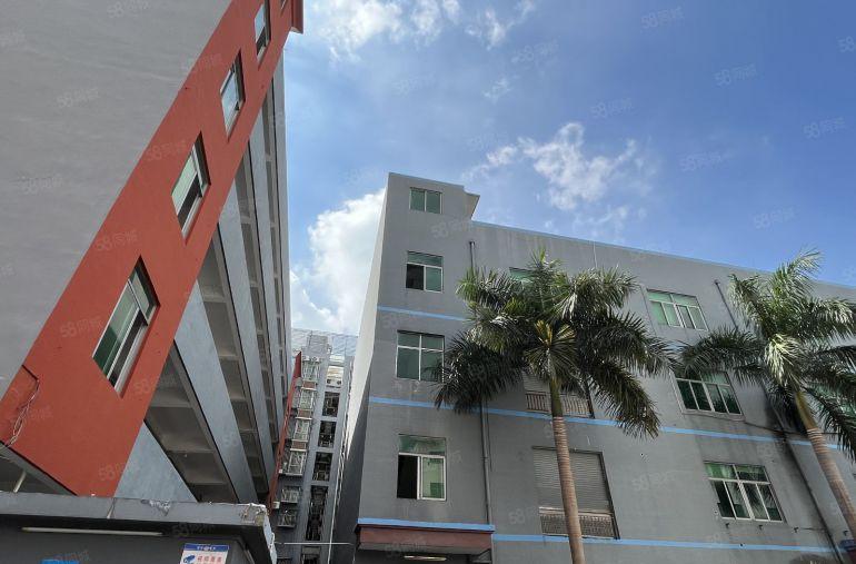 横岗 六约 楼上 500平 精装修 办公室仓库厂房出租