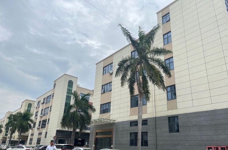 坂田地铁口500平精装仓库厂房低价出租