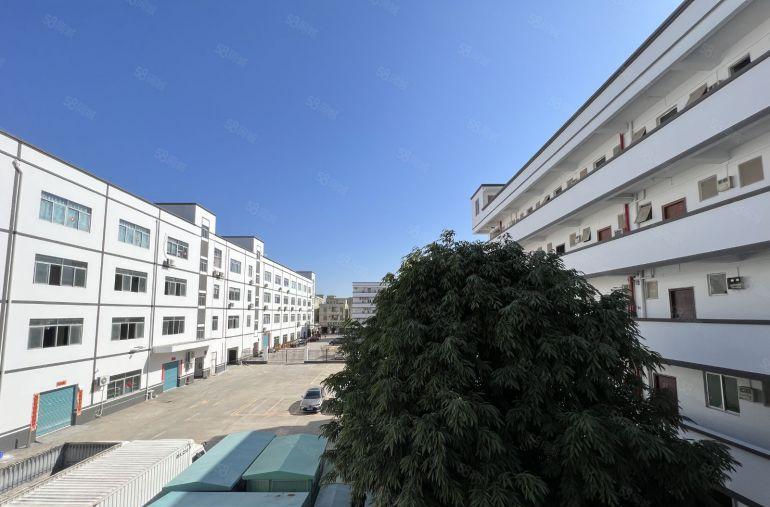 横岗原房东实际面积独院一楼厂房1200平方仓库出租带消防喷淋