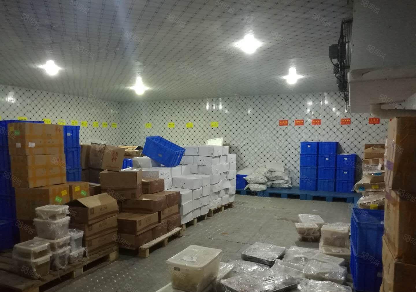 平湖白泥坑麻布路1楼带冻库厂房出租冻库20平方