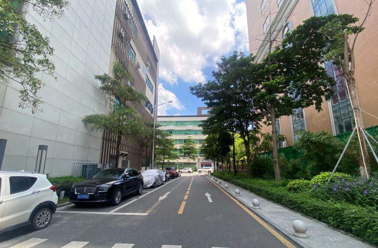 坂田云里智能园600平，电商办公仓库100平起租，带装修