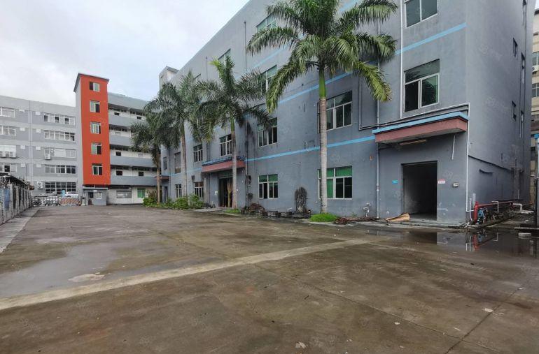 龙岗南联新出原房东独院7200平带装修厂房出租可分租一楼6米