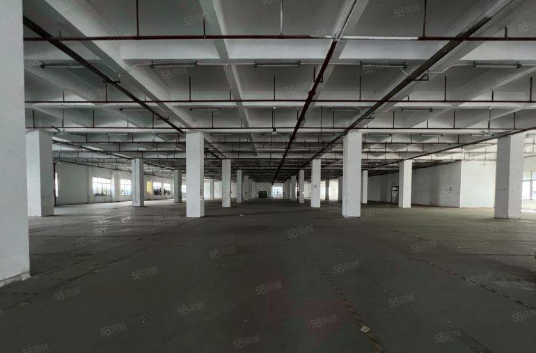龙岗同乐村委厂房实际面积3000平仓库出租一楼上可分租带喷淋