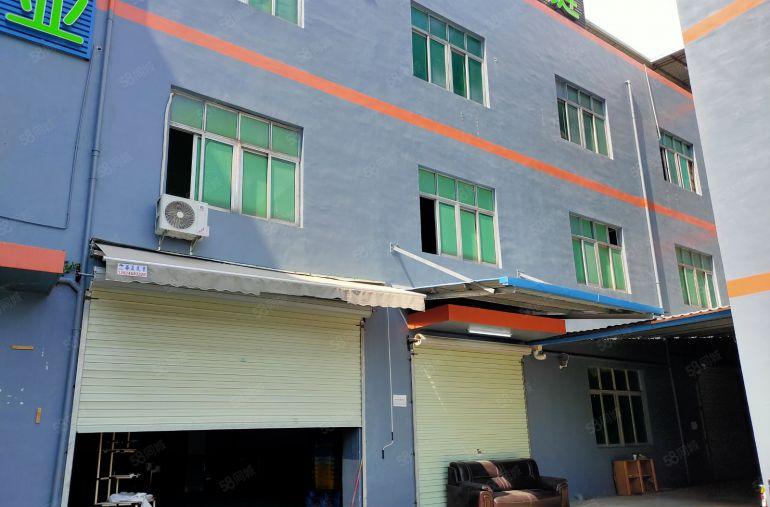 平湖海吉星旁一楼1000平食品配送加工厂房仓库出租分租空地大