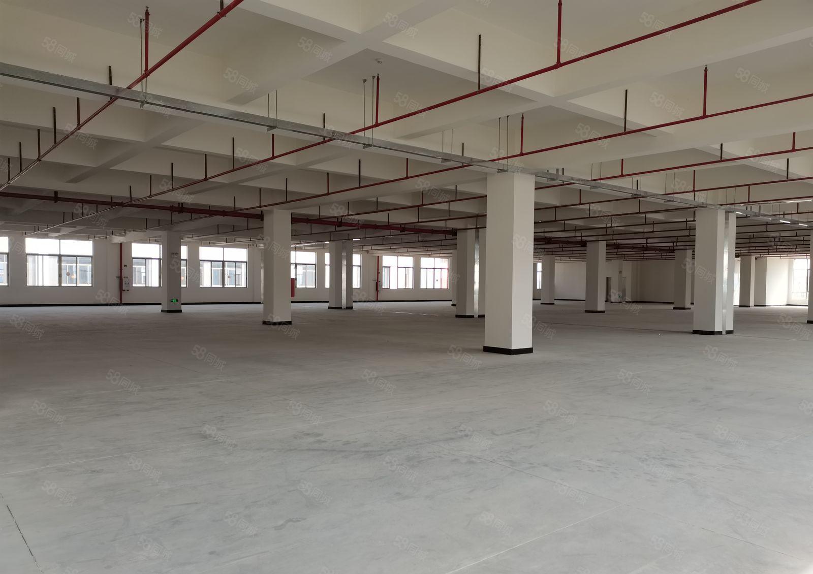 25元起平湖清平高速出口工业园6000平独门独院厂房出租可分