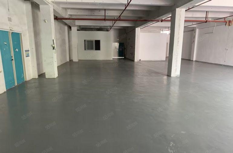 房东招租龙岗上李朗莱茵工业区直租437平送免租特价17元