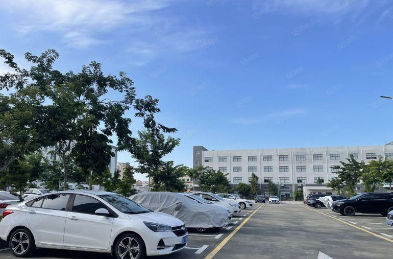 坂田李朗原房东科技园楼上800平方带精装修办公室厂房仓库出租