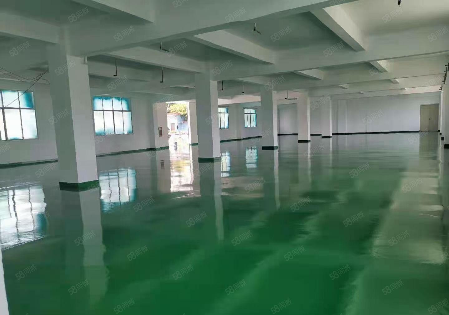 龙岗爱联独门独院标准厂房一楼1100平方，大小可分租