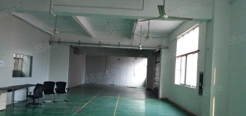 新出18元横岗地铁口工300平，600平，900平带装修厂房