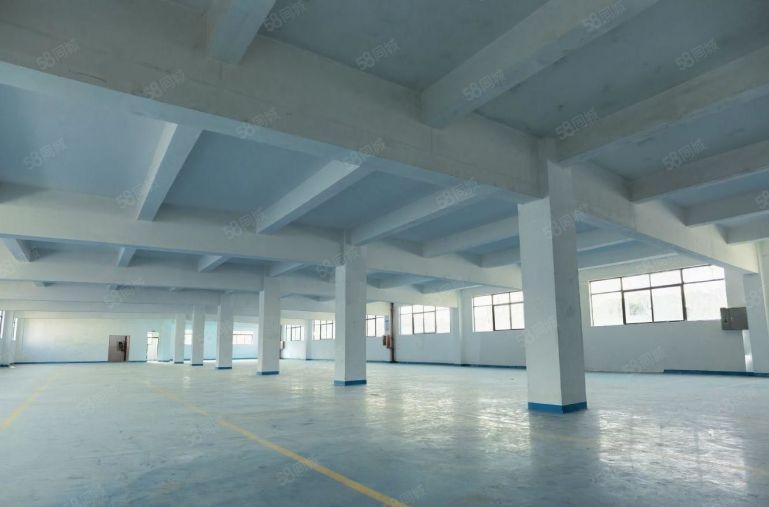 龙岗一楼单层2000平米带装修厂房仓库出租