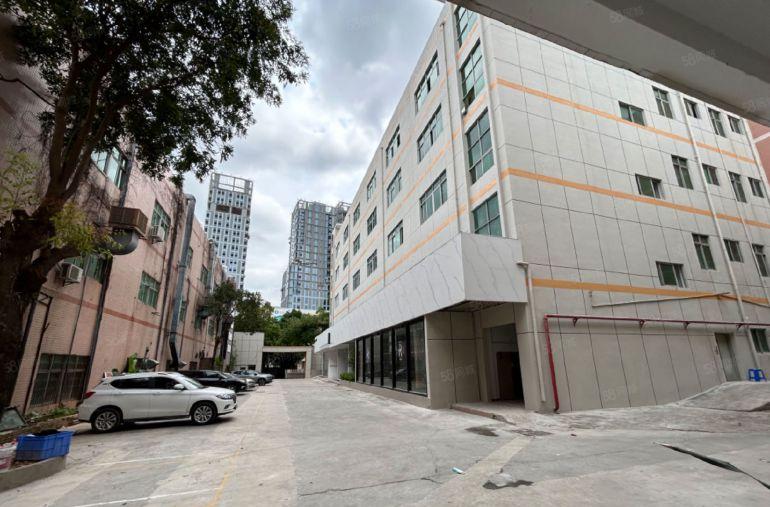 可分租，深汕路300米原房东独门独院4000平仓库厂房出租