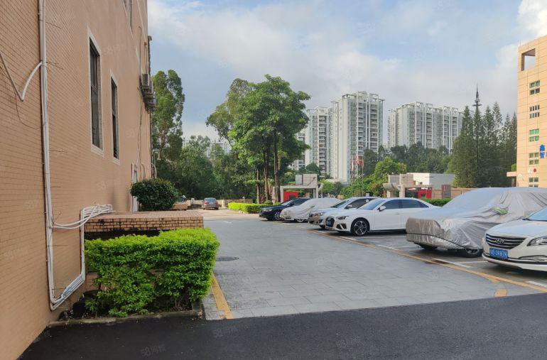 龙岗电商园区精装修1000平办公仓库厂房出租300平起租