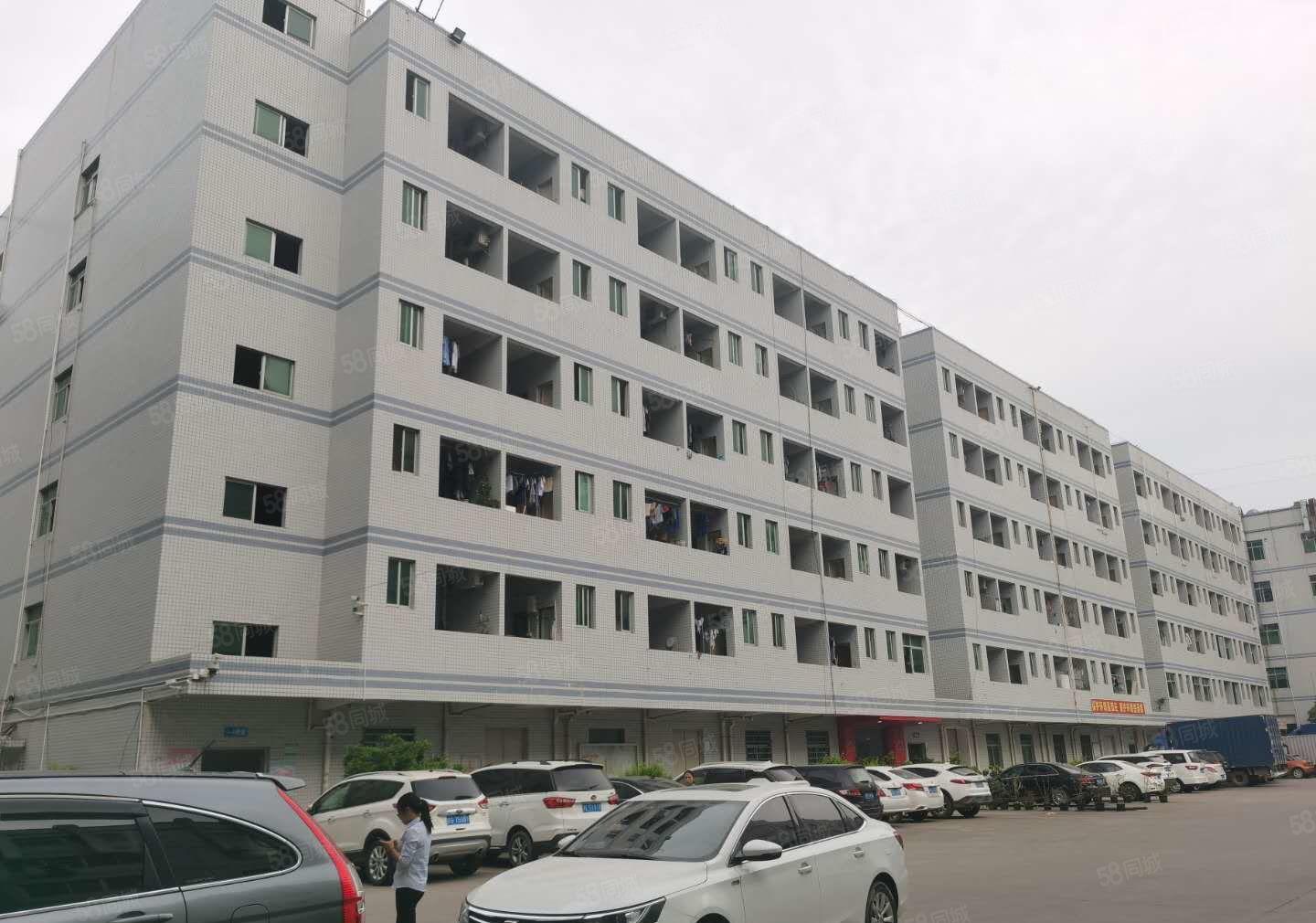 20元租平湖独院厂房出租宿舍招租价格低易招工