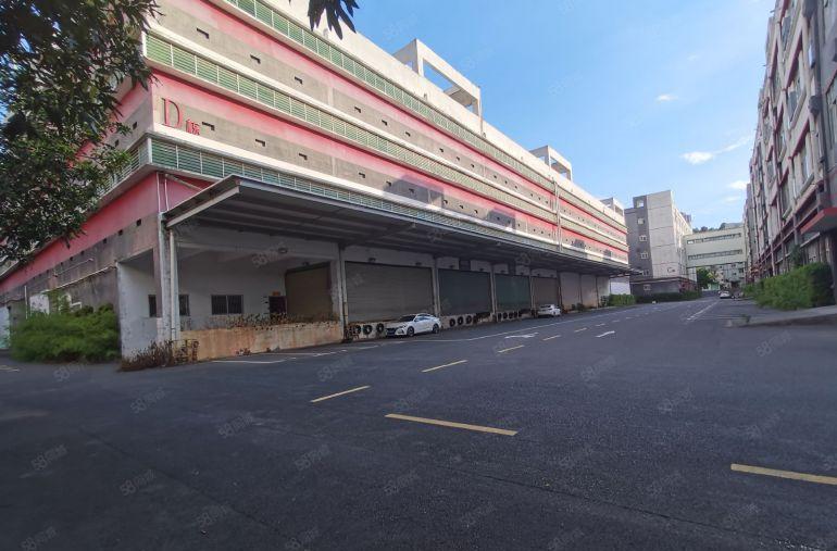 同乐厂房出租一楼仓库独门独院深圳物流园卸货平台分租超大空地