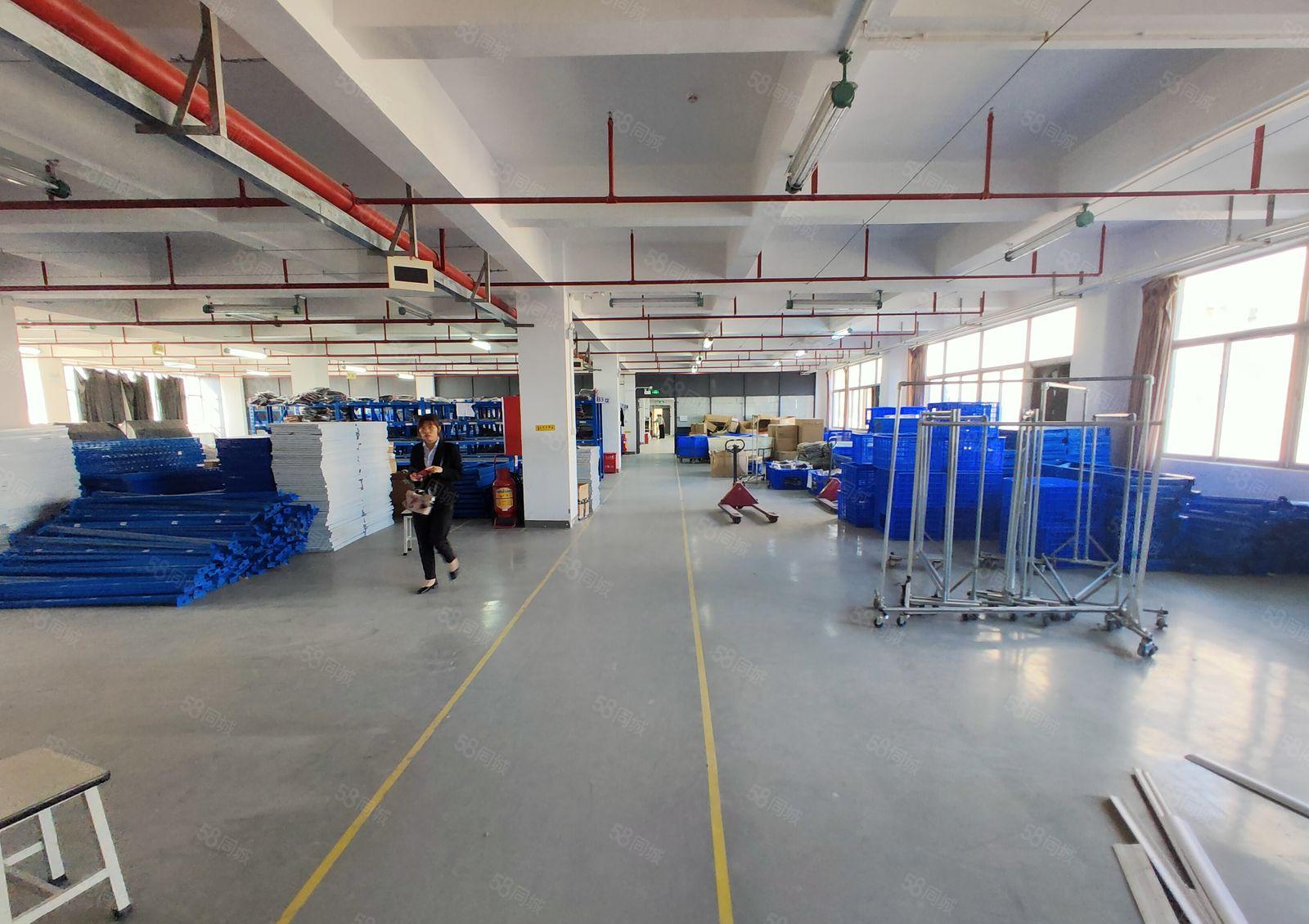 龙岗宝龙新出经典小独院2层2000平厂房出租报价20元可分租