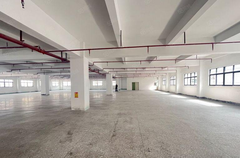 急租！平湖6000平独门独院厂房仓库出租 可分租 空地大