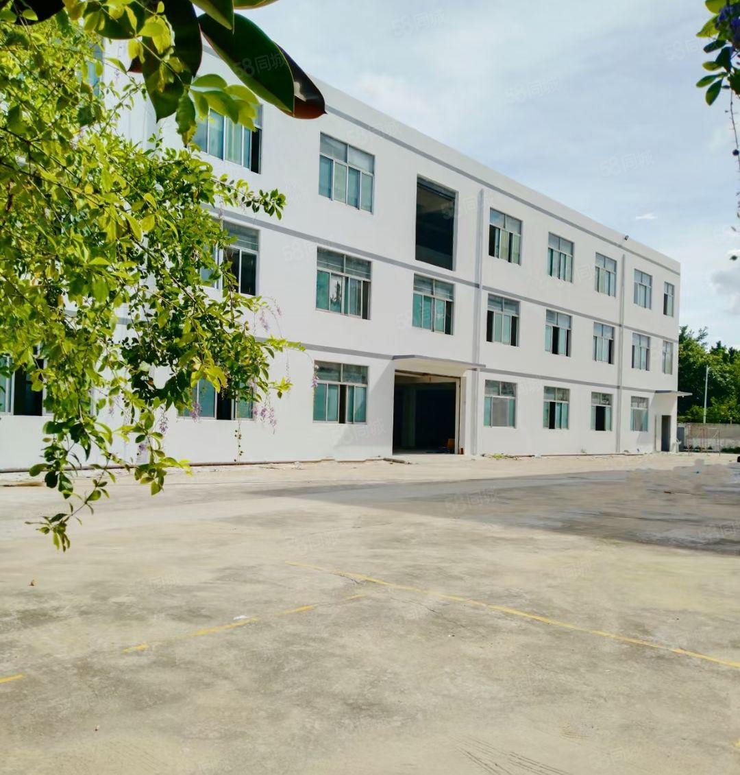 龙岗镇新生花园式独院厂房三层4000平方米低价租也可分租