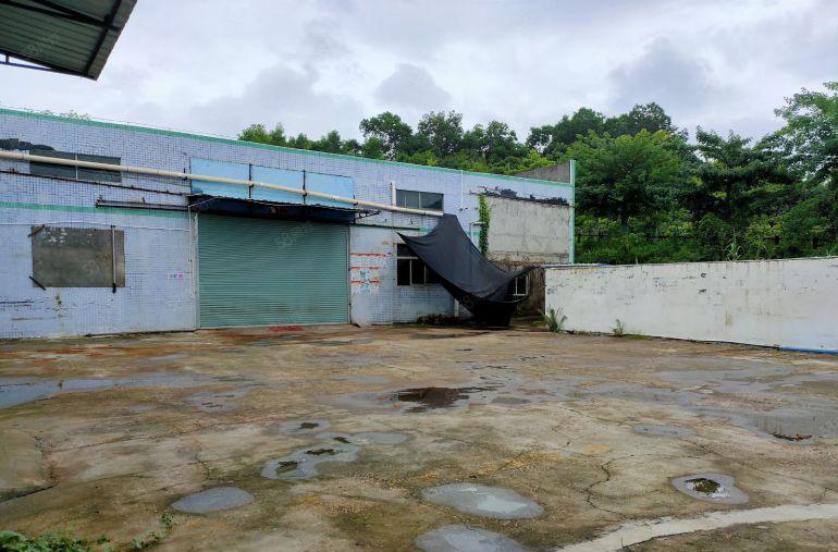 坪地原房东1500平独院钢构厂房出租仓库分租 铁皮房空地大