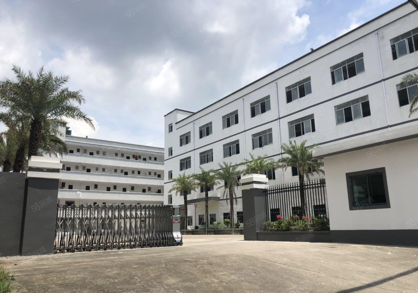 合同十年！嶂背市场边新空出原房东红本独院5800平方厂房出租