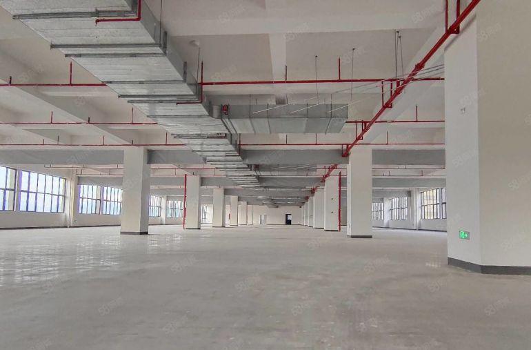 坂田坂澜大道工业区内300平原房东办公研发仓库厂房出租好招工