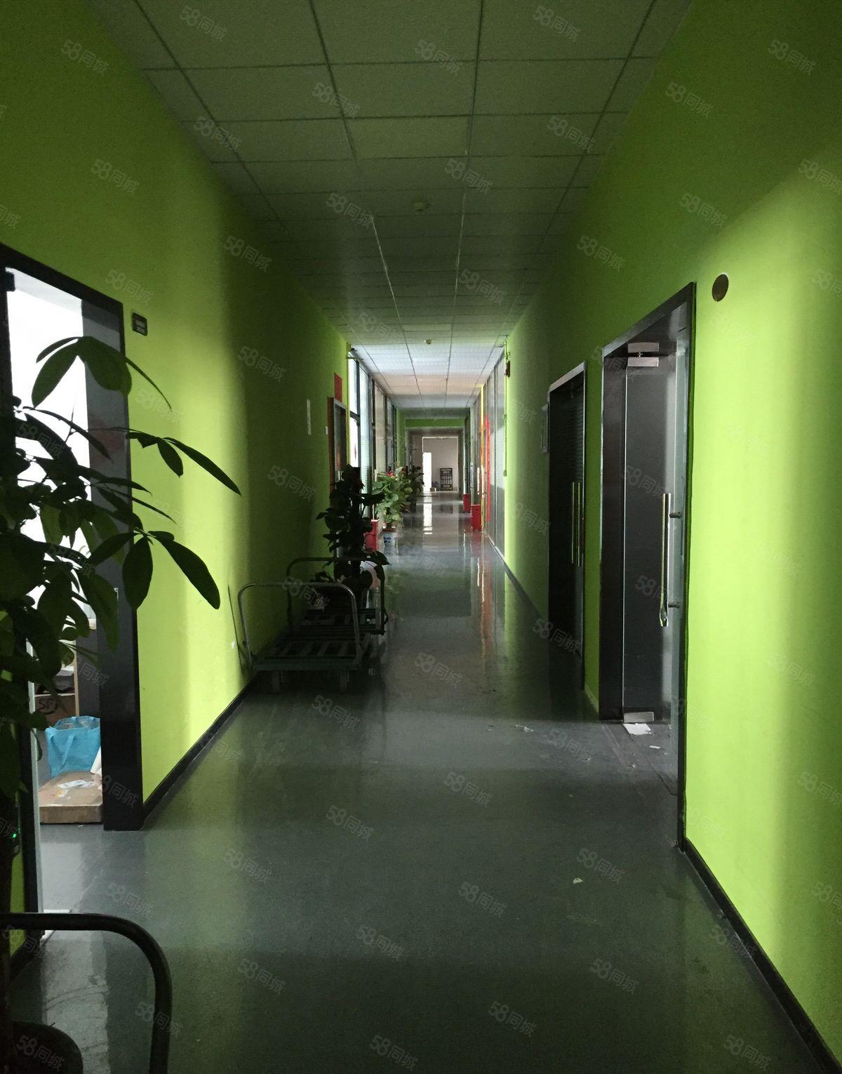 上雪科技园新空100平电商办公仓库小加工