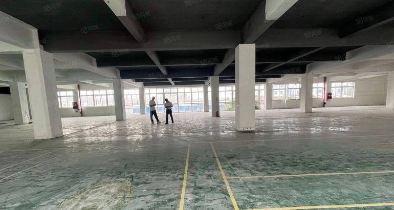 横岗靠地铁2000平方可分租双面采光厂房出租仓库出租可进大车