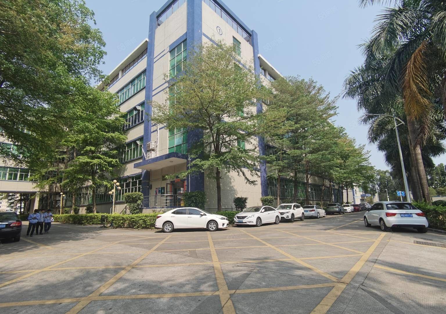 坂田五和原房东独门独院独栋厂房出租一楼仓库出租可分租小面积