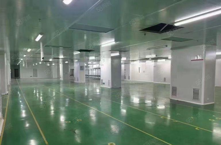 坂田生态园楼上500平精装修红本双证厂房出租仓库出租