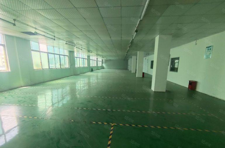 超大空地带装修！龙岗同乐独院新出1500平厂房仓库出租可分租