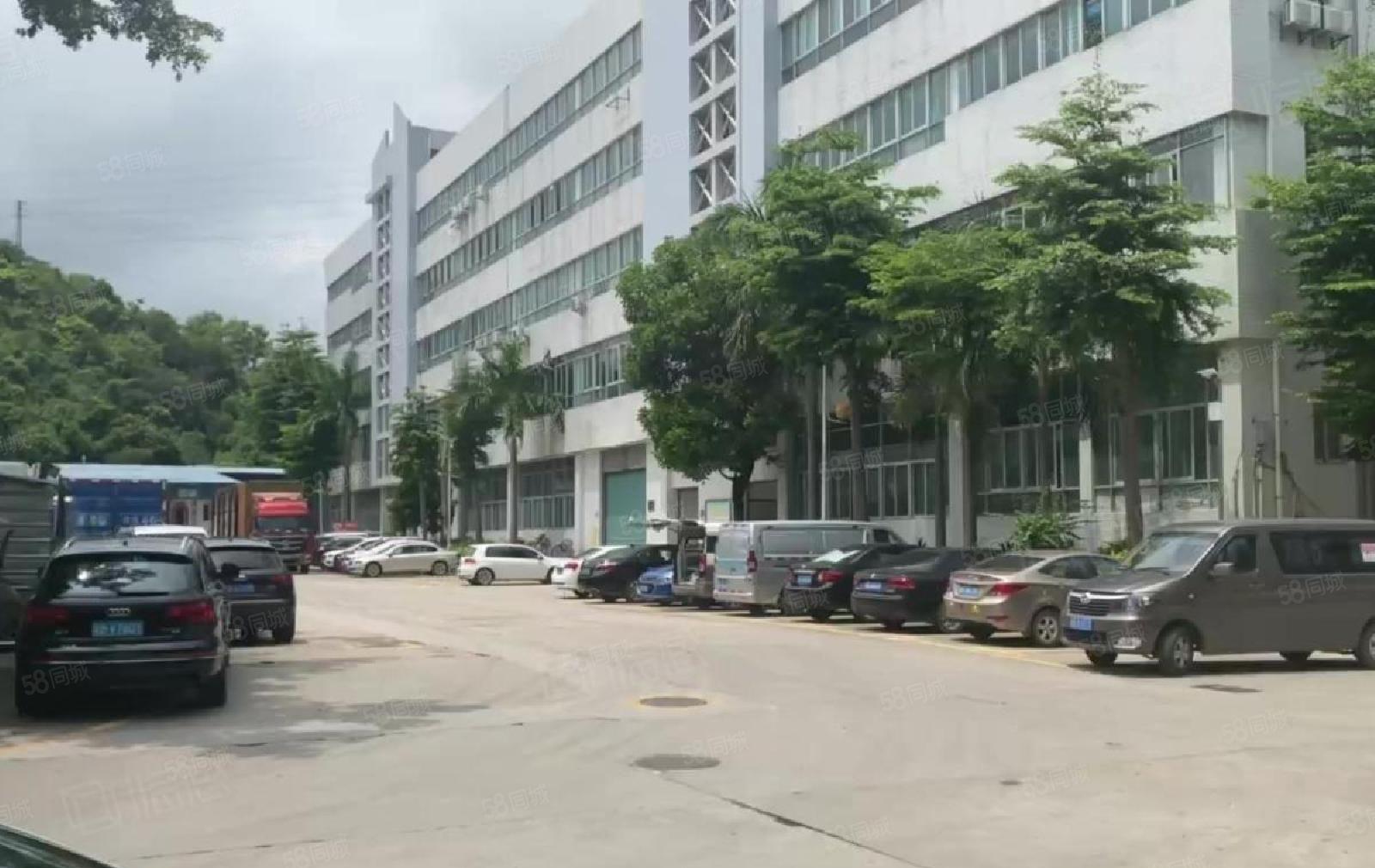 坂田杨美工业园1万平厂房出租300平起分租精装修一楼仓库物流