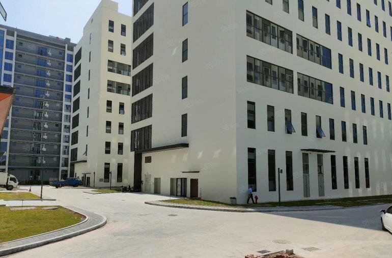 坂田带装修2000平厂房出租 可分租 工业园低价仓库招租