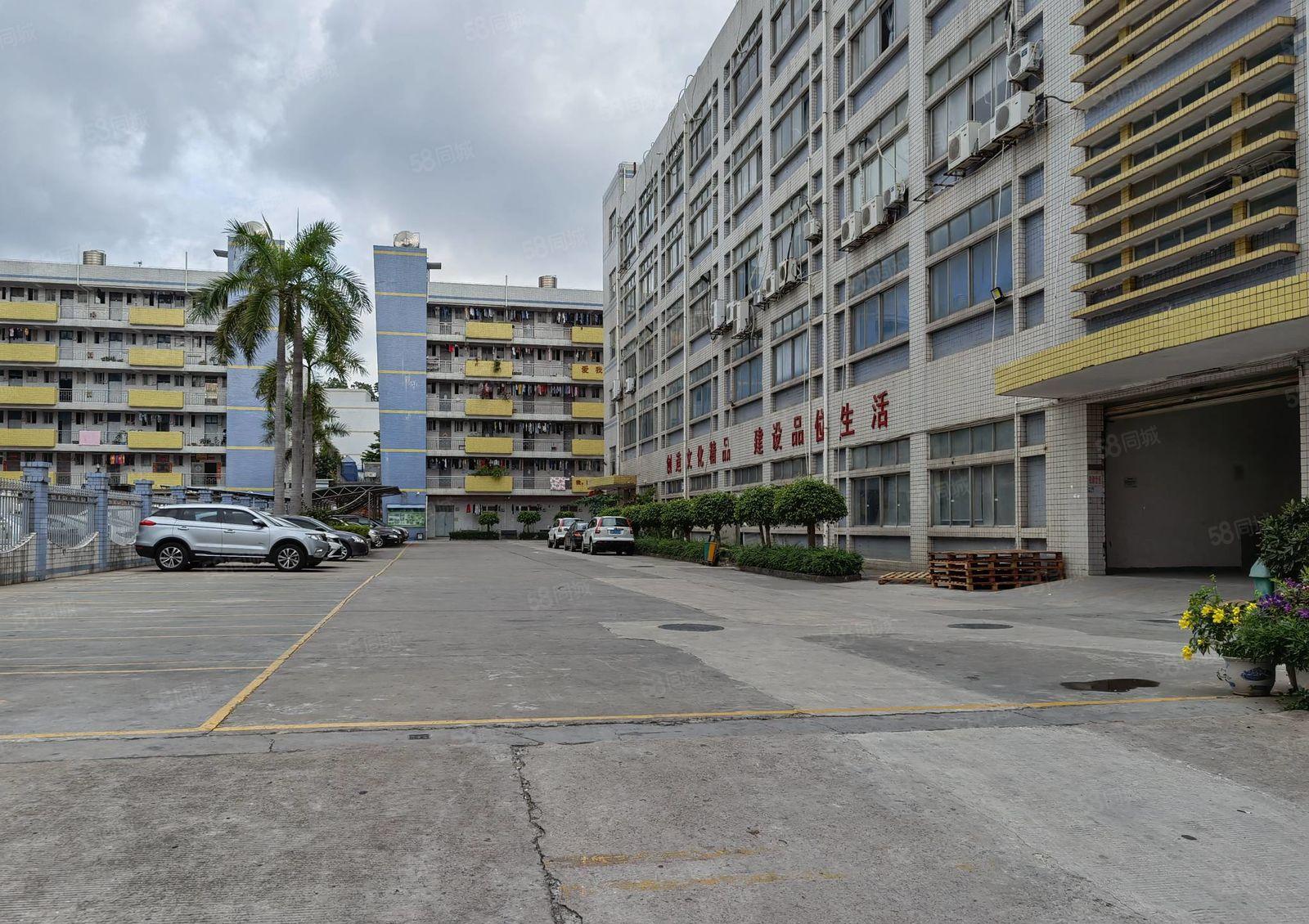 龙岗新出一二楼1000平至5000平厂房仓库出租独院大小分租