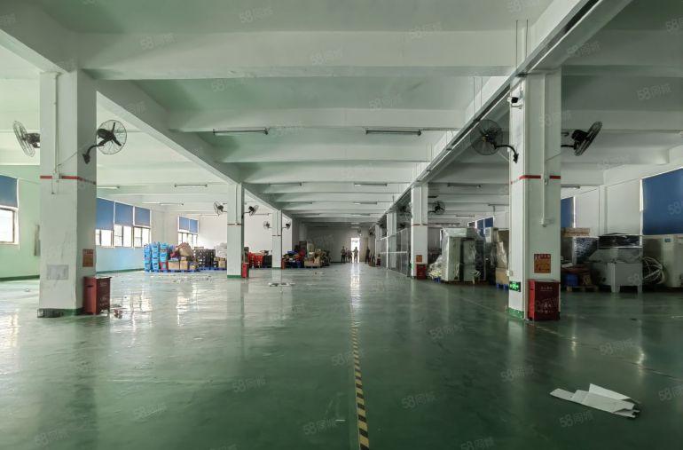 平湖华南城原房东独门独院厂房出租5000平仓库出租红本实际面